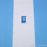 展示画像sakai.fumika