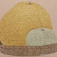 展示画像sakai.fumika